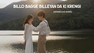 Billo Bagge Billeyan Da Ki Krengi slowed and reverb  Kaka  Zayn Saifi  Billo kehndi [upl. by Arten]