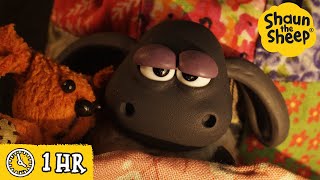 Shaun the Sheep 🐑 Timmys Nightime Adventure 🦔🍂 Full Episodes Compilation 1 hour [upl. by Ahsenrad647]