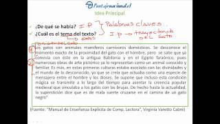 Taller estrategias de comprensión lectora  Lección 1 [upl. by Seana]