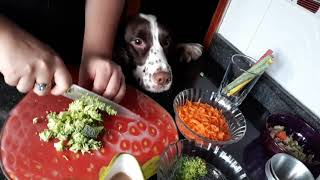 Deliciosos helados caseros para perros de brocoli y zanahoria  Con nucita [upl. by Farron92]