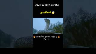 Snake revenge PT1🐍amil voice over shorts ytshorts trendingshorts tamilvoiceover mysterydiv [upl. by Watkin]