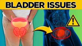 Prostate Facts Unveiling the Top Vitamin Deficiency Behind Bladder Woes  Health Journey [upl. by Hukill544]