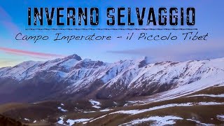 Gran Sasso Inverno Selvaggio a Campo Imperatore  il Piccolo Tibet [upl. by Sophi]