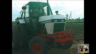 DAVID BROWN 1390 AND RANSOMES DISC HARROWS [upl. by Hazel]