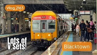 Sydney Trains Vlog 2163 Blacktown with Lots of V Sets [upl. by Oibesue]