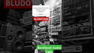 Bludotone clean channel boosted with Cali76 Barefaced Audio tylerguitars bludotone [upl. by Silrac]