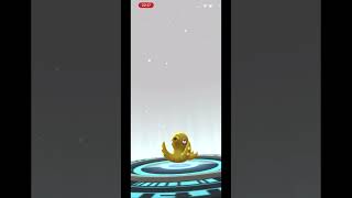 Evolving REMORAID SHINY to OCTILLERY SHINY  Pokémon Go [upl. by Danice]