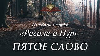 О цели сотворения человека и больших грехах [upl. by Adriane]