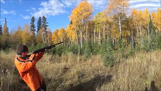 20 Guage mossberg 500 vs Winchester SXP [upl. by Falconer143]