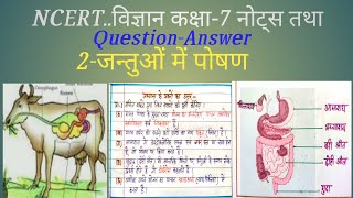 NUTRITION IN ANIMALS Class 7 science chapter 2 notes and questionanswer 202425 [upl. by Mehcanem]