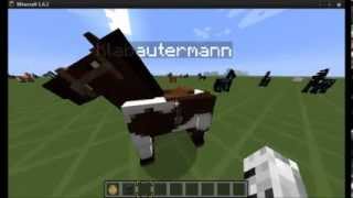 How to Pferde reiten bennen anbinden Minecraft [upl. by Aedni404]