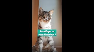 Vermifuger un chat dintérieur [upl. by Hsetih306]