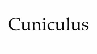 How to Pronounce Cuniculus [upl. by Kallick]