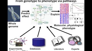 Introduction to Pathway and Network Analysis [upl. by Ahtiek]