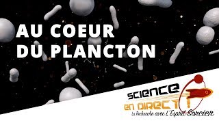 Planktomania immersion au coeur du plancton  Science En Direct [upl. by Norabel297]