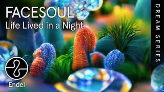 FACESOUL  Life Lived in a Night  Soul Slumber  EndelSound Dream Series [upl. by Kirit484]