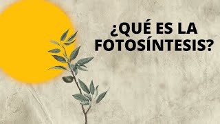 ¿Qué es la fotosíntesis [upl. by Rebor]