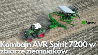 Kombajn AVR Spirit 7200 w zbiorze ziemniaków Sucho ale plon niezły  Farmerpl [upl. by Groeg]