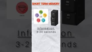 Types of memories STM LTM sensory memory  psychology bengali [upl. by Constantia375]