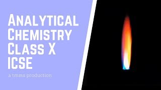 Analytical Chemistry  A Visualisation for Class X ICSE Qualitative Analysis [upl. by Cirdor]