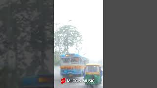 RainyKolkata  miltonmusic  shortsvideo [upl. by Domel]