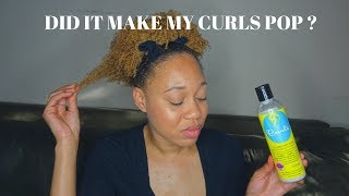 Curls Blueberry Bliss Reparative Leave In Conditioner Review  Euniycemari [upl. by Adidnere576]