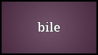 Bile Meaning [upl. by Vlad775]