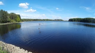 Turton and Entwistle Reservoir Walk [upl. by Hgielak526]