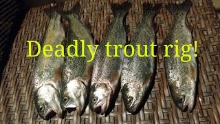 Best rainbow trout rig and power bait [upl. by Lucius]