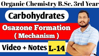 Formation of osazone mechanism Glucose Fructose osazone formation BSc 3rd year organic chemistry [upl. by Lucita]