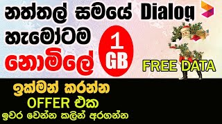 Dialog new FREE DATA offer 2022  Free Mobile Data sihala නොමිලේ ඩේටා🤩 [upl. by Kaazi]