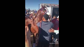 🐎🔥EL REY DE ARIZONA🌵EL MEJOR😮‍💨🔥 [upl. by Tessie]