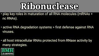 Ribonuclease  RNAse  Ribonuclease Catalysis [upl. by Anidene]