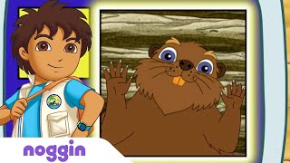 Lets Learn About Beavers w Diego  Noggin [upl. by Yenots]