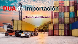 🎯 Cómo rellenar el DUA de importación de forma clara y sencilla [upl. by Lundquist]