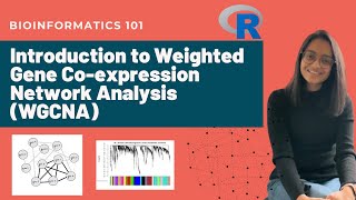 Introduction to Weighted Gene Coexpression Network Analysis WGCNA  Bioinformatics 101 [upl. by Domel811]