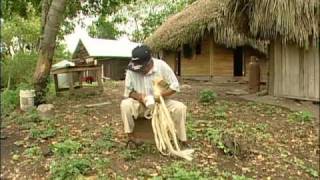 The Mayas of Belize  Belize Culture [upl. by Pravit]