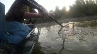 Catfishing Trotlining for Flatheads [upl. by Avan]