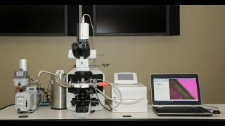 FreezeDry Microscopy  Lyophilization Cycle Development [upl. by Tripp]