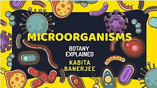 Actinomycetes or Mould Bacteria in Hindi [upl. by Burgener]