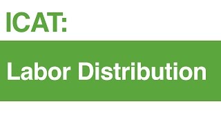 ICAT Labor Distribution [upl. by Mastic397]