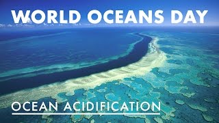 World Oceans Day  Ocean Acidification [upl. by Sivaj350]