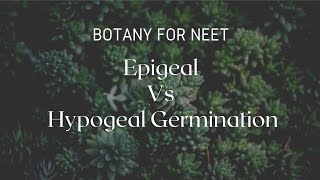 Epigeal Vs Hypogeal Germination [upl. by Coughlin731]