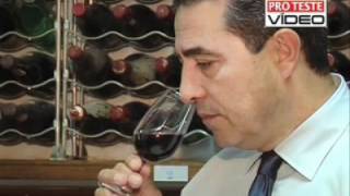 Vinho provar como um profissional [upl. by Aneelas]