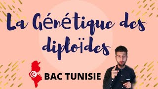 Génétique des diploïdes 03 BAC  Exercice corrigé avec explication détaillé du cours [upl. by Yralih]