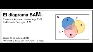 Hangout 9 El diagrama BAM [upl. by Michelina691]