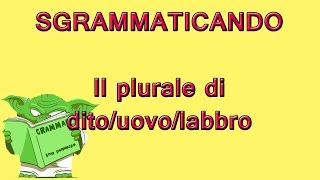 Errori comuni  Il plurale di DITO UOVO e LABBRO [upl. by Mcgregor]