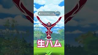 【生肉】GO FEST 2023 大阪の残り時間ギリギリで色違いイベルタルをゲットしたったww【ポケモンGONiantic】 [upl. by Catto99]