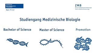 Kurz vorgestellt Der Studiengang quotMedizinische Biologiequot an der Universität DuisburgEssen [upl. by Roseanna]