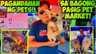 PINAKAMALAKING KENNEL SA BULACAN NASA BAGONG PASIG PET MARKET NA DIN [upl. by Heshum967]